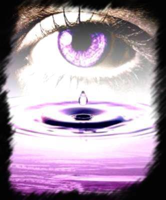 l oeil