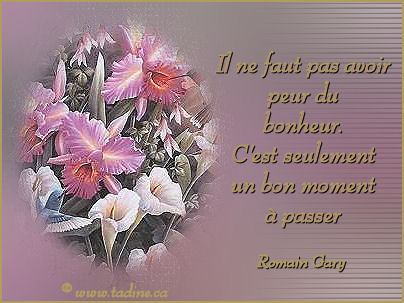 le bonheur