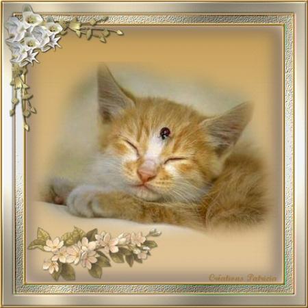 bienvenue