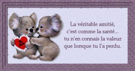 la vraie amitie