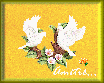 Amitié..............